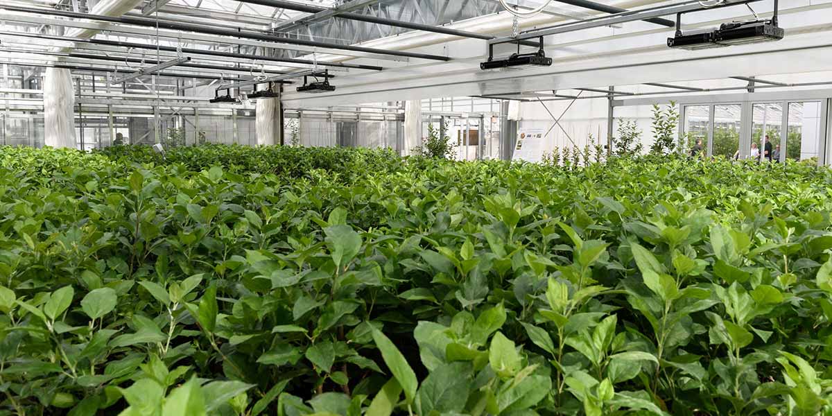 FEM, taglio del nastro per la nuova serra hi-tech